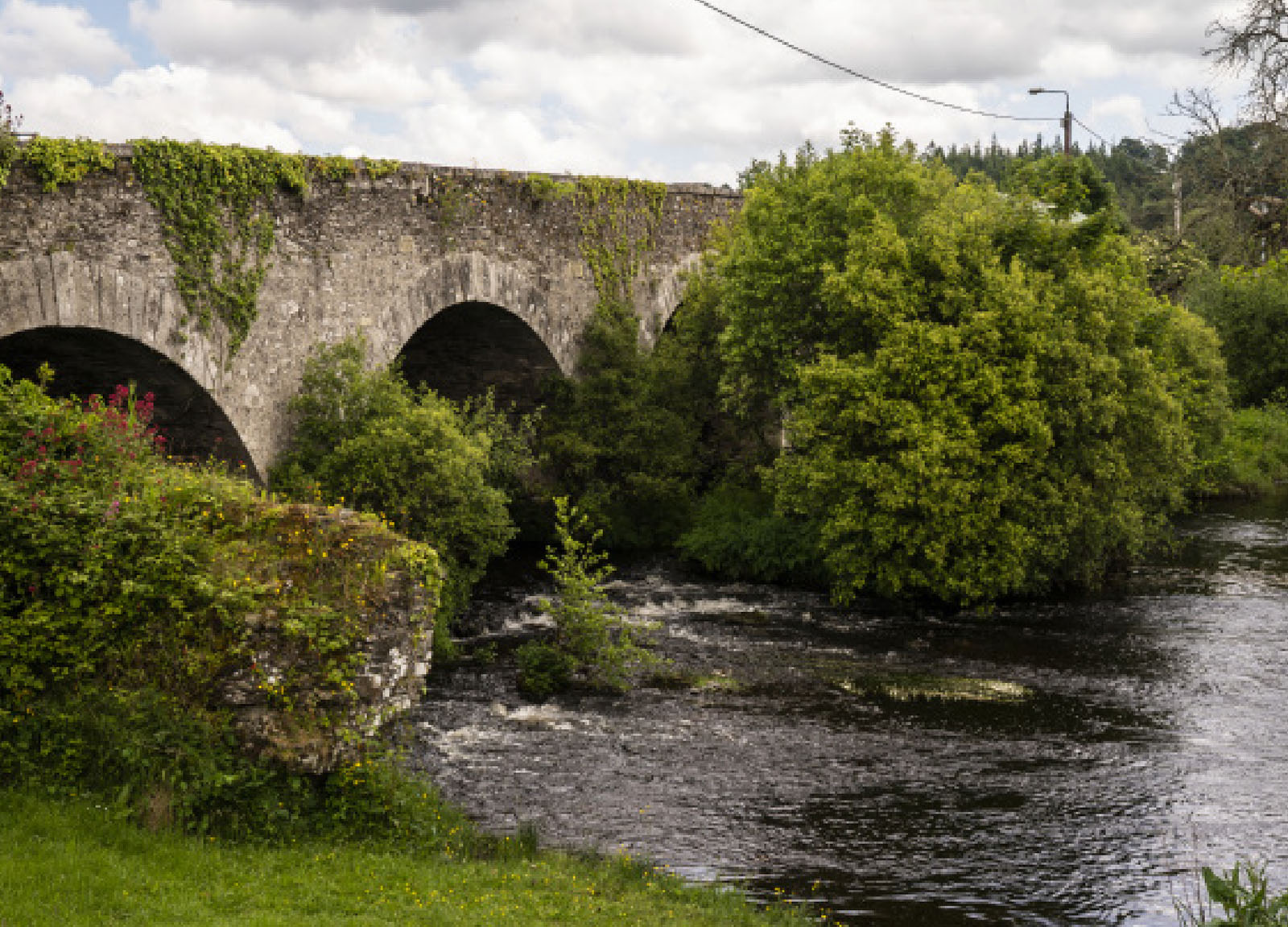 Abhainn ag sruthú faoi dhroichead agus tá féar, crainn agus toir chun tosaigh, sa lár agus sa chúlra