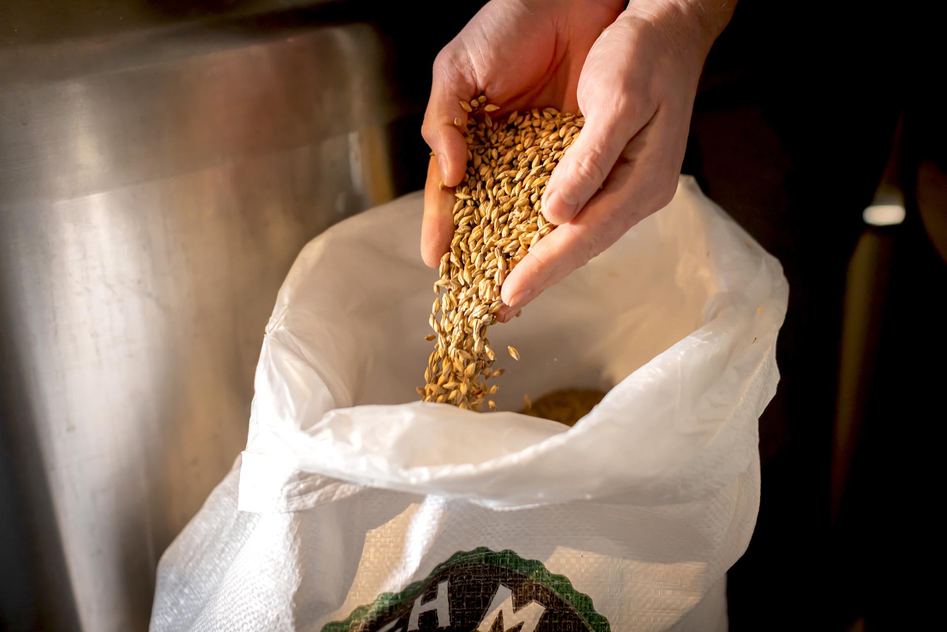 A person pouring hops inside a bag