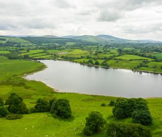 Ballymore Eustace Biodiversity